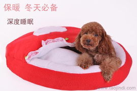 優(yōu)質(zhì)寵物窩墊與用品廠家直銷(xiāo)，批發(fā)價(jià)格盡享舒適與實(shí)惠