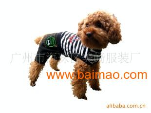 開(kāi)拓歐洲寵物服裝市場(chǎng) 阿里巴巴平臺(tái)大批發(fā)供應(yīng)指南