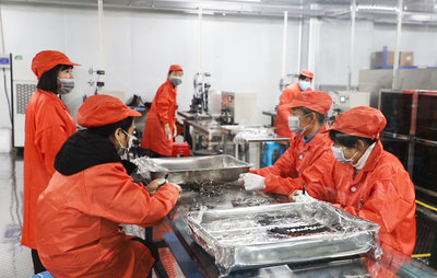 數(shù)字引擎驅(qū)動(dòng)新篇章 岳陽市2021年產(chǎn)業(yè)項(xiàng)目建設(shè)流動(dòng)現(xiàn)場會(huì)聚焦華容縣數(shù)碼產(chǎn)業(yè)發(fā)展